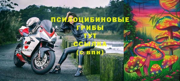 ALPHA PVP Лагань